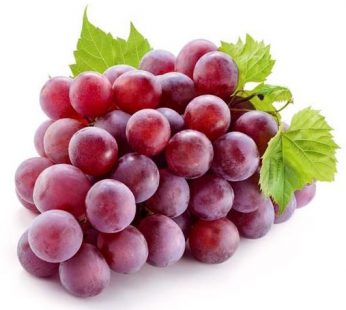 Anggur Merah Australia