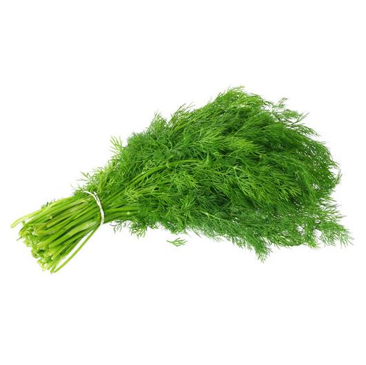 Daun Dill / Daun Dill Segar / Daun Dill Fresh / Dill / Dil / Adas Sowa / Adas Manis