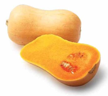 Butternut Jeklin / Labu Madu CN