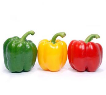 Paprika Segar / Cabai Besar Paprika