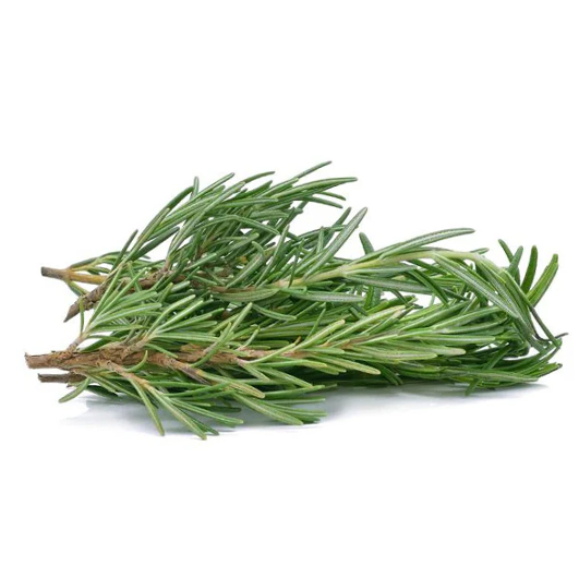 Rosemary / Daun Rosemary