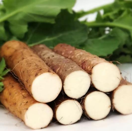 Yam Stick / Yam / Yam Stick Fresh / Batang Yam Stick / Sayur Yam Stick - Image 2